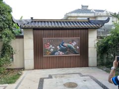 山南新款銅門